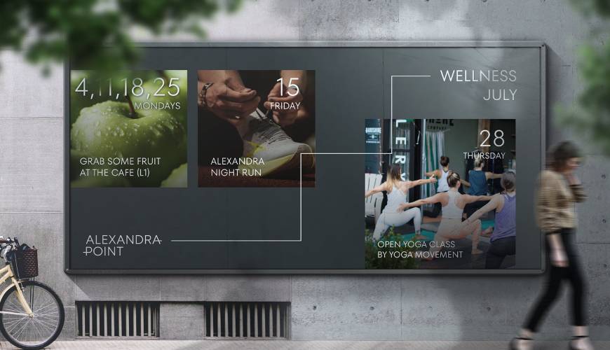 赵县画册设计公司如何进行品牌审核